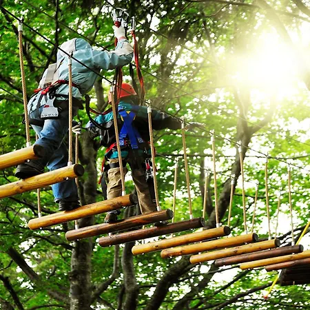 Casa Dei Galli Gravedona